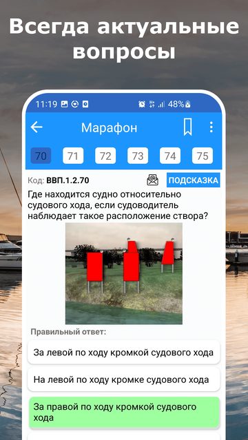 Экран приложения ГИМС: главы